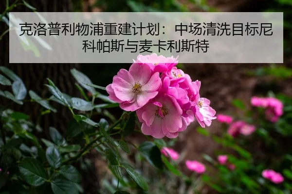 ke-luo-pu-li-wu-pu-chong-jian-ji-hua-zhong-chang-qing-xi-mu-biao-ni-ke-pa-si-yu-mai-ka-li-si-te-3-631.jpg