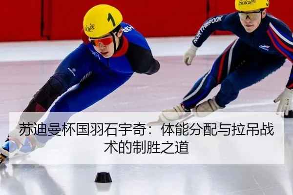 su-di-man-bei-guo-yu-shi-yu-qi-ti-neng-fen-pei-yu-la-diao-zhan-shu-de-zhi-sheng-zhi-dao-2-224.jpg