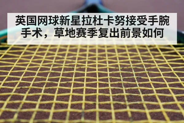 tennis racket closeup